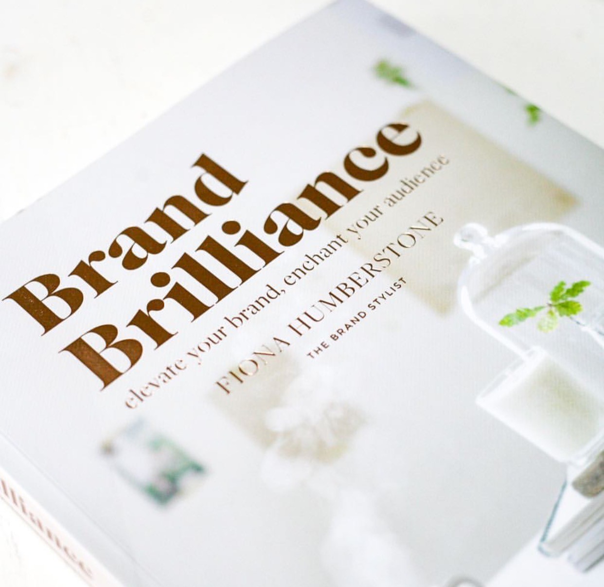 Brand Brilliance Book