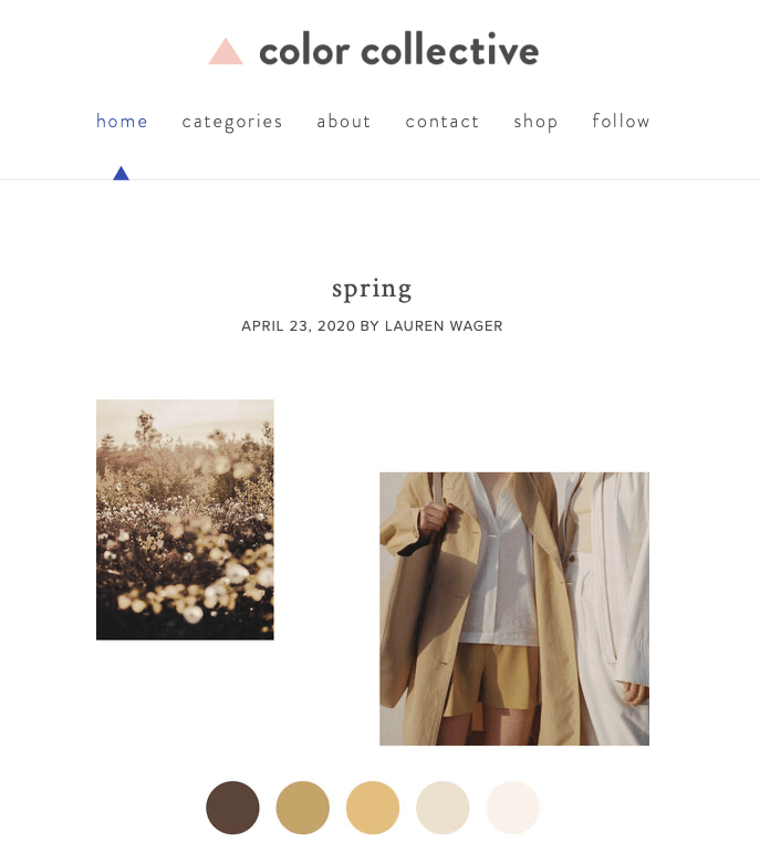 Color Collective